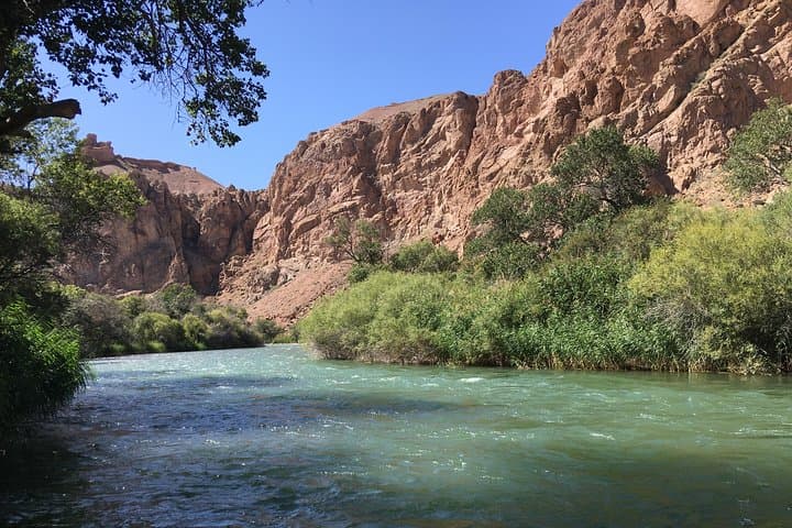 Charyn Canyon Private Day Tour from Almaty — Moon Canyon & Bartogai Reservoir photo 2