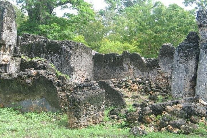 Taste of Tanga: A 2-Day Cultural and Coastal History Tour photo 2
