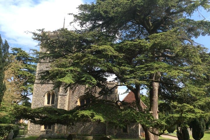 St Albans Roman City Private Day Tour from London — Full‑Day Walking Experience photo 4