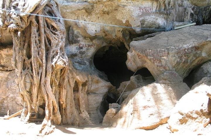 Explore Amboni Caves: Guided Tour from Tanga City — 4–5 Hour Karst Adventure photo 4