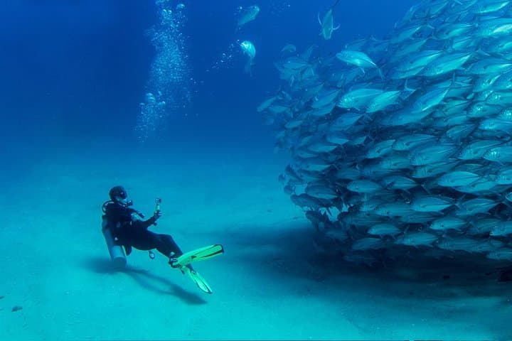Antalya Scuba Diving from Setur Harbour — Two Dives, Lunch & Transfers photo 6