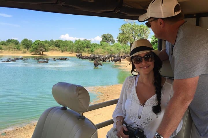 Yala National Park Safari Day Trip from Bentota — Leopard, Elephant & Birdwatching photo 2