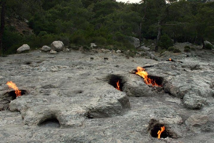 Coastal Ruins and Eternal Flames: Phaselis, Çıralı & Olympos Beach Tour photo 4