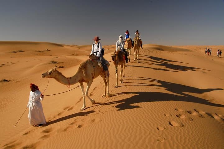 Dubai Desert Safari: Dune Bashing, Camel Ride & BBQ Evening