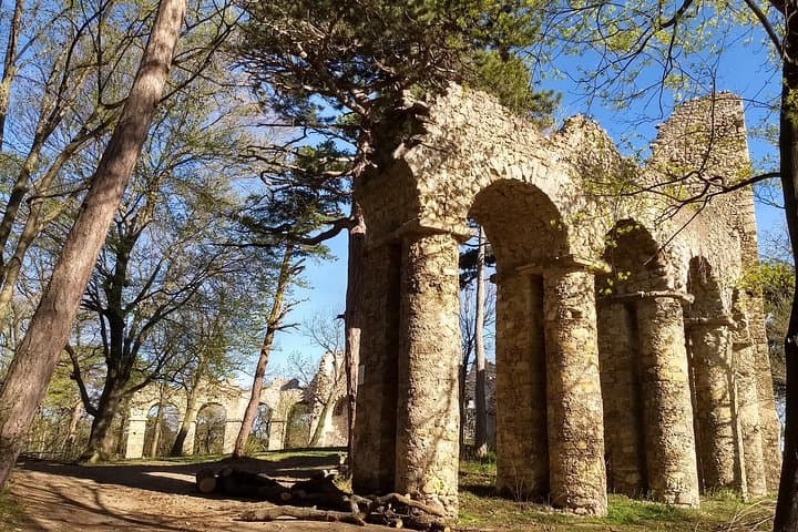 Explore Kalenderberg: Private Family Hike from Vienna Through Ruins and Caves photo 2