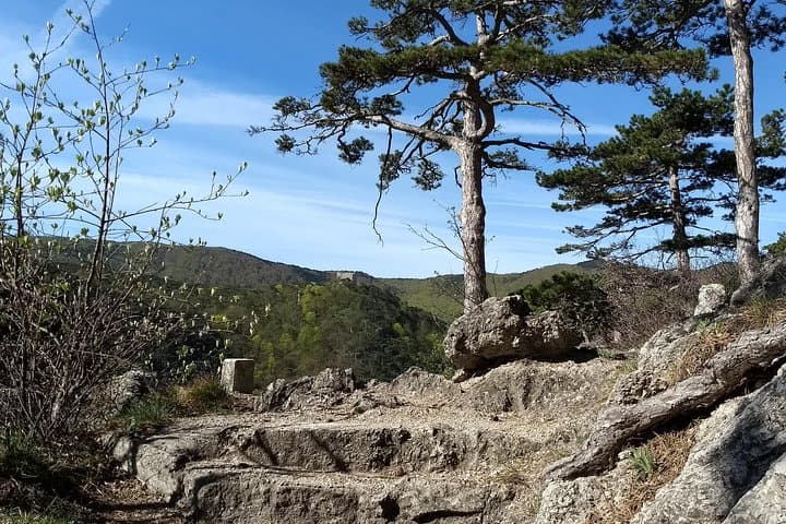 Explore Kalenderberg: Private Family Hike from Vienna Through Ruins and Caves photo 5