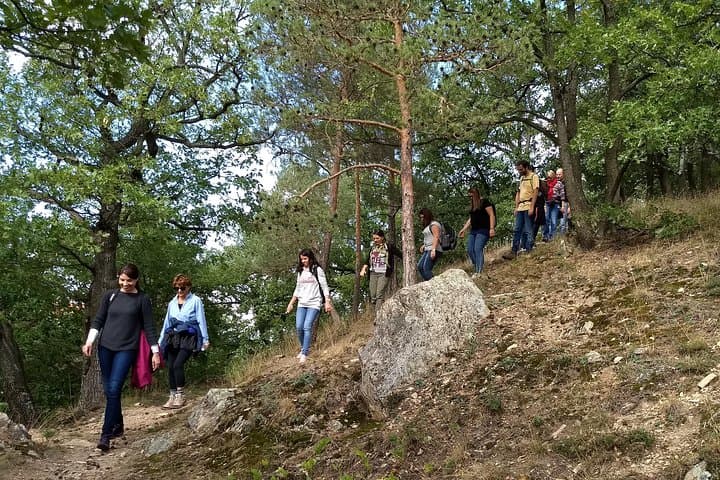 Goettweig Abbey Hiking: 2-Hour Private Forest Walk from Krems photo 2