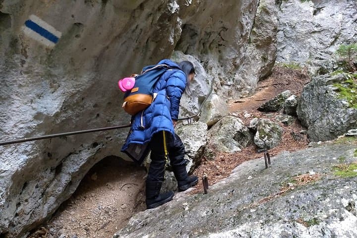 Hohe Wand Great Gorge: Private 4-Hour Alpine Hike from Vienna photo 3