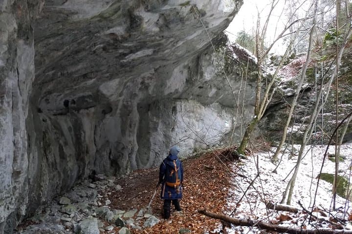 Hohe Wand Great Gorge: Private 4-Hour Alpine Hike from Vienna photo 4