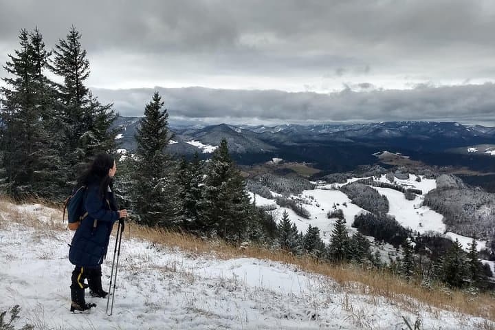 Hohe Wand Great Gorge: Private 4-Hour Alpine Hike from Vienna