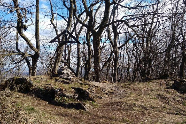 Parapluie Mountain Hike to Josefswarte — 3-Hour Vienna Woods View photo 4