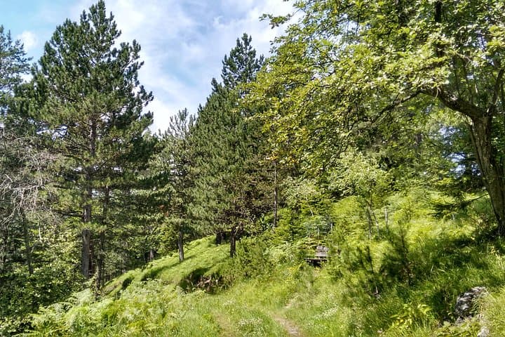Kieneck Alpine Hike: 4-Hour Private 'Enzian' Mountain Tour from Vienna photo 6