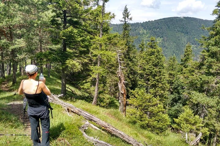 Kieneck Alpine Hike: 4-Hour Private 'Enzian' Mountain Tour from Vienna photo 2