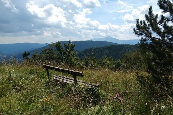 Kieneck Alpine Hike: 4-Hour Private 'Enzian' Mountain Tour from Vienna