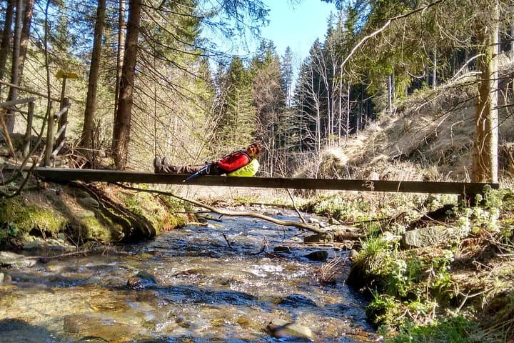 Hochwechsel Hiking: 5-Hour Alpine Trek to Wild Water and 360° Views photo 4