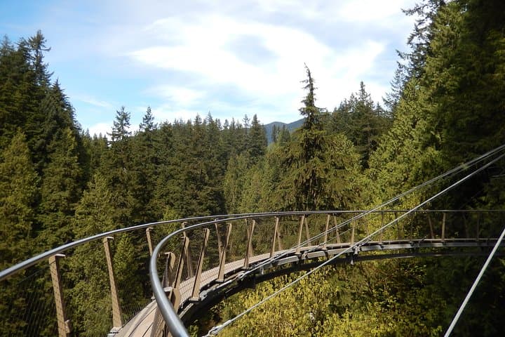 Vancouver Highlights Private Tour with Capilano Suspension Bridge and Cypress Views photo 2