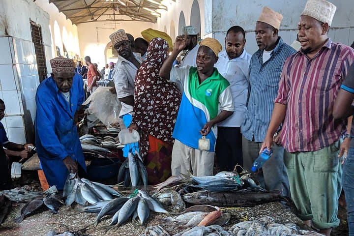 Three-Day Zanzibar: Stone Town, Jozani & Blue Safari — Top 6 Tours in 72 Hours photo 4