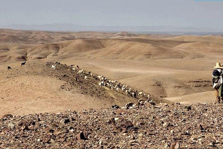 Day Trip from Marrakech to Agafay Desert & Lake Takerkoust — Private 8‑Hour Tour photo 2