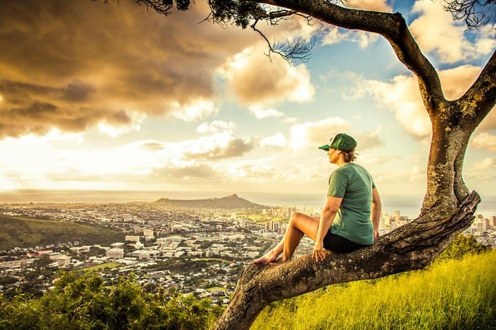 Private Oahu Circle Island Tour — 7‑Hour Best Stops from Honolulu to the North Shore photo 6