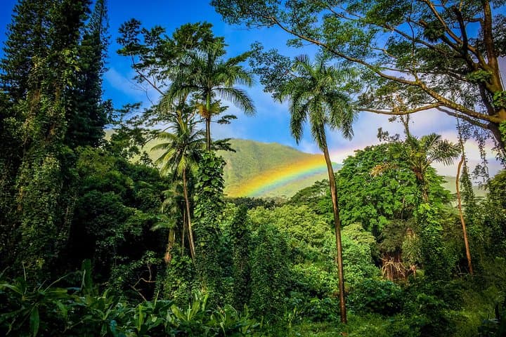 Private Oahu Van Tour: Custom Full-Day Island Road Trip from Honolulu photo 3