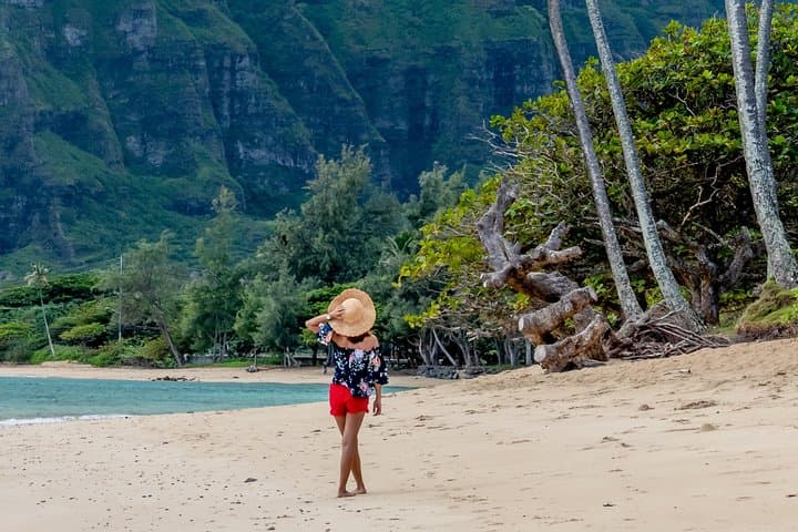 Private Oahu Circle Island Tour — 7‑Hour Best Stops from Honolulu to the North Shore photo 4