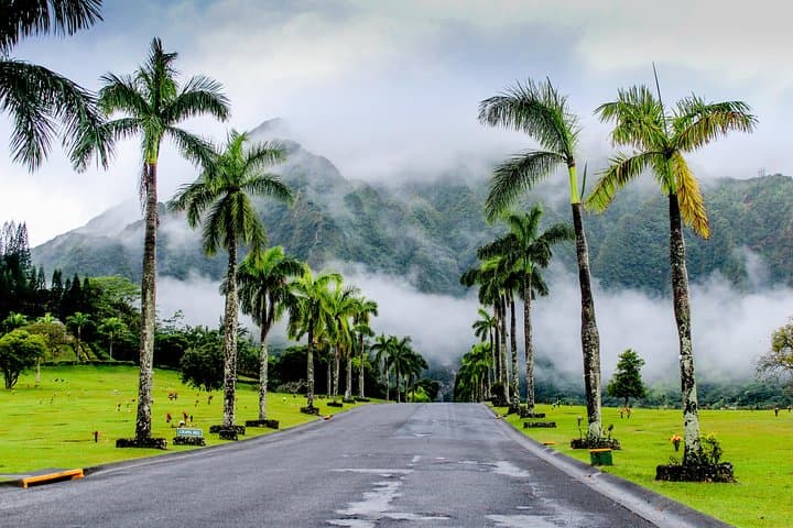 Private Oahu Van Tour: Custom Full-Day Island Road Trip from Honolulu photo 6