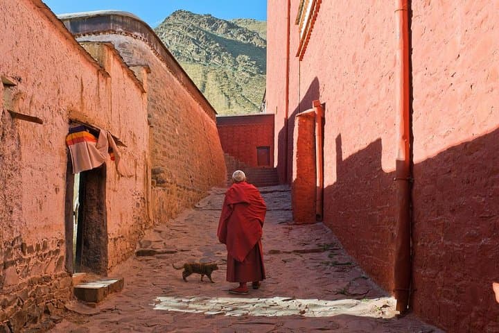 From Lhasa to Everest Base Camp: 8-Day Cultural and High-Altitude Trek photo 4