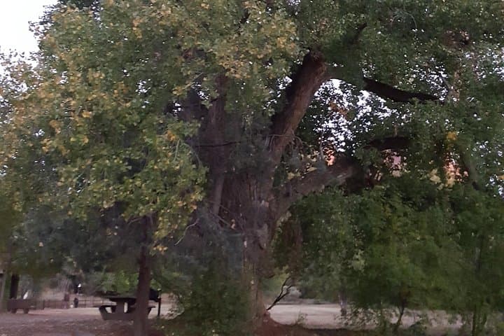 Private Sedona Vortex Chakra Energy Balancing Journey photo 6