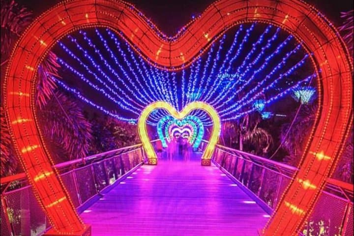 Dubai Garden Glow: Evening Lights, Recycled Art & Private Transfers photo 3