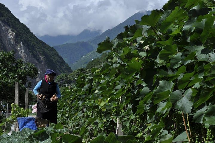 Northwest Yunnan: 13-Day Shangri-La, Tiger Leaping Gorge & Meili Mountain Circuit photo 4