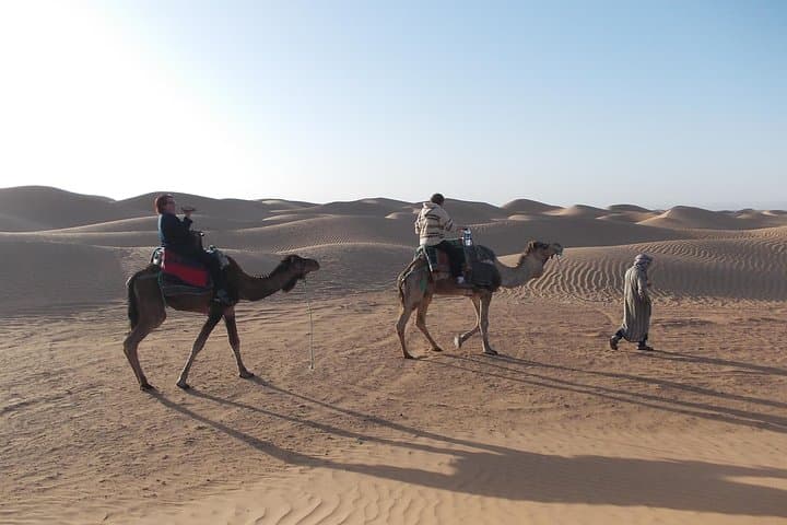 2-Day Desert Tour From Marrakech to Zagora and Draa Valley — Overnight Bivouac & Camel Ride photo 2