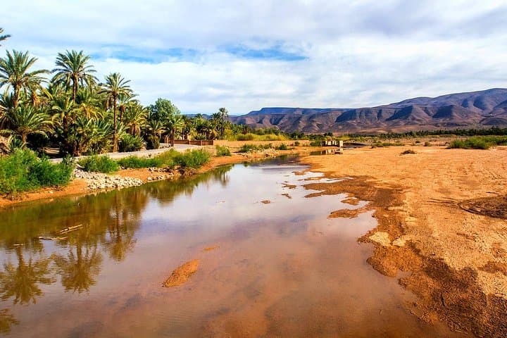 2-Day Desert Tour From Marrakech to Zagora and Draa Valley — Overnight Bivouac & Camel Ride