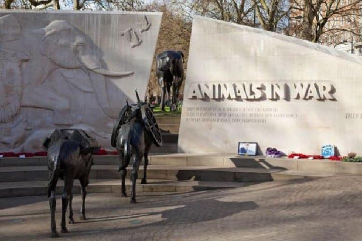 Walking London's War Memorials: Private 3-Hour Historical Tour photo 6