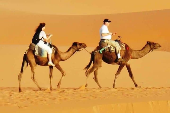 Evening Dubai Desert Safari: Dune Bashing, BBQ Dinner & Seven Live Shows photo 3