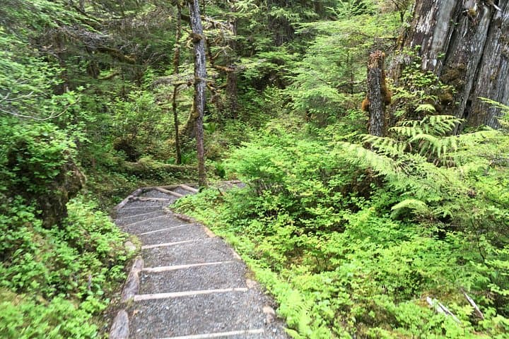 Ketchikan Rainforest Walk & Totem Park: 3-Hour Guided Hike and Cultural Tour photo 4