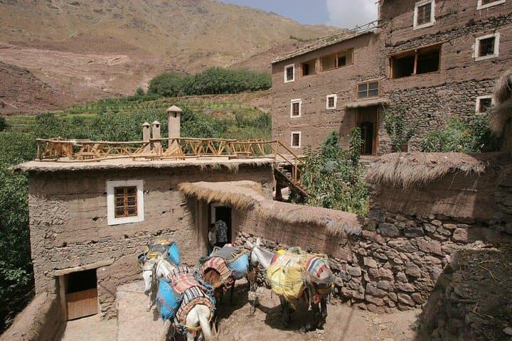 Atlas Mountains Day Trip from Marrakech: Imlil Waterfalls & Camel Ride photo 5