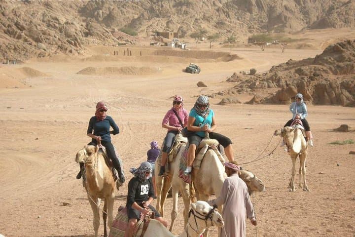 Sharm el Sheikh Desert Quad Bike & Bedouin Dinner Safari photo 5