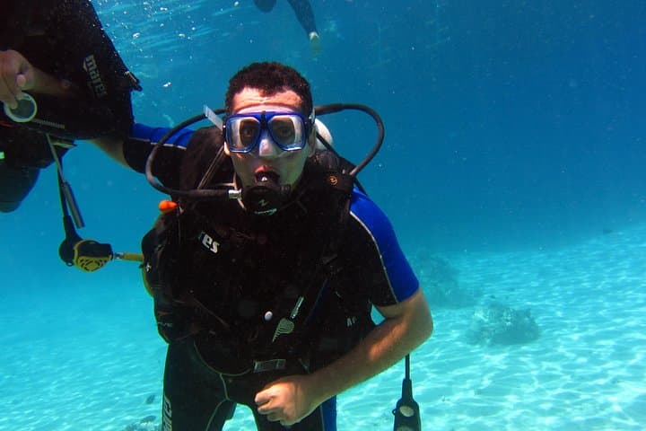 Introductory Diving & Snorkeling Day Trip to Tiran Island from Sharm El Sheikh photo 3