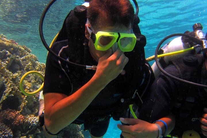 Introductory Diving & Snorkeling Day Trip to Tiran Island from Sharm El Sheikh photo 5
