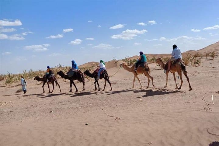 6-Day Trek from M'hamid to Erg Chegaga: Sahara Camping, Camel Riding & Night Skies photo 1