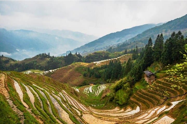 3-Day Classic Guilin Tour: Li River Cruise, Longji Terraces & Yangshuo photo 4