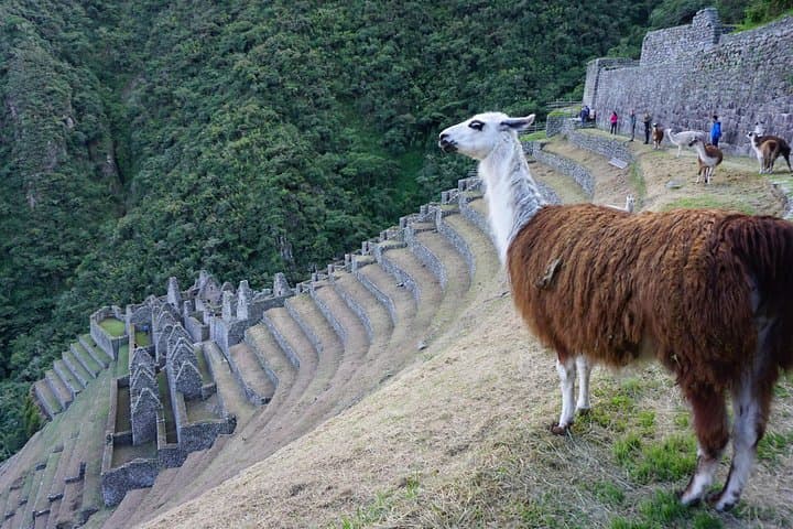short-inca-trail-machu-picchu-2-day-glamping-adventure photo 2
