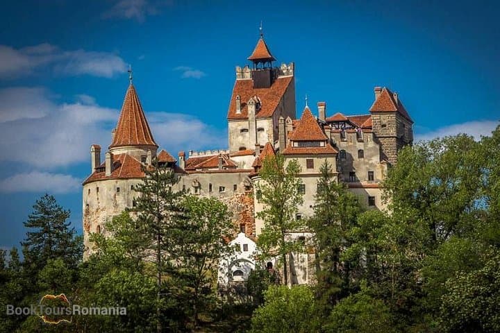 4-Day Private Transylvania Tour: Peles, Bran, Sighisoara & Transfagarasan
