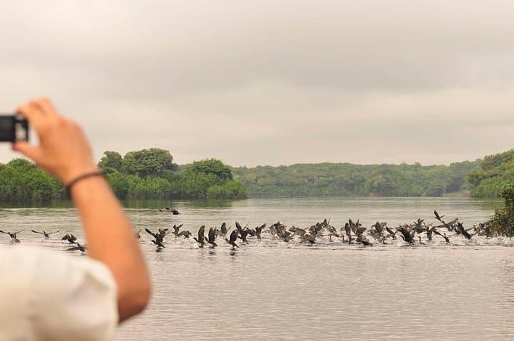 3-Day Manaus Amazon Jungle Adventure: Lodge Stays, Wildlife & Caboclo Culture photo 2