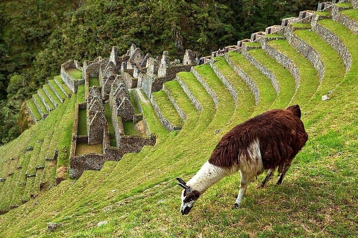 Short Inca Trail to Machu Picchu in 2 Days: Compact Trek to Inti Punku & Wiñay Wayna photo 3