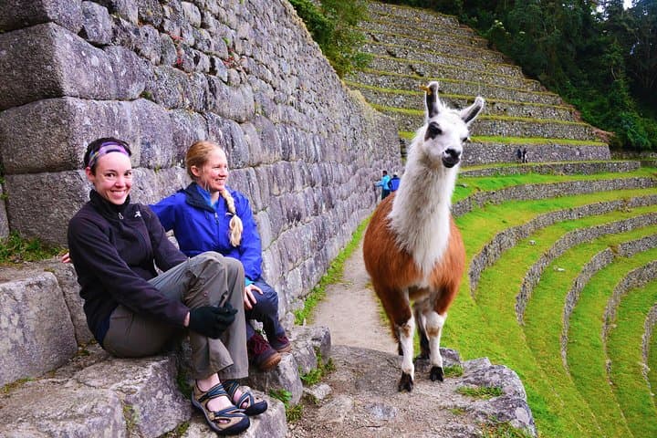 Short Inca Trail to Machu Picchu: 2-Day Private Trek and Train Combo