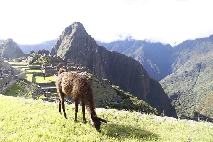 Classic 2-Day Inca Trail to Machu Picchu: Fast-Track Trek to the Sun Gate photo 4