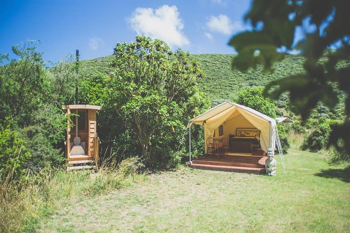 Overnight Kiwi-Spotting Tour on Kapiti Island: Sleep Among Native Birds photo 2
