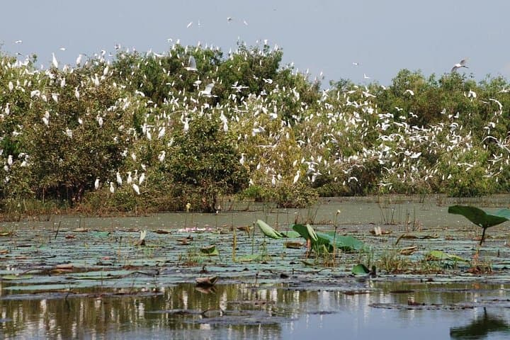Mekong Delta 3-Day River Tour: Cai Be to Chau Doc via Can Tho
