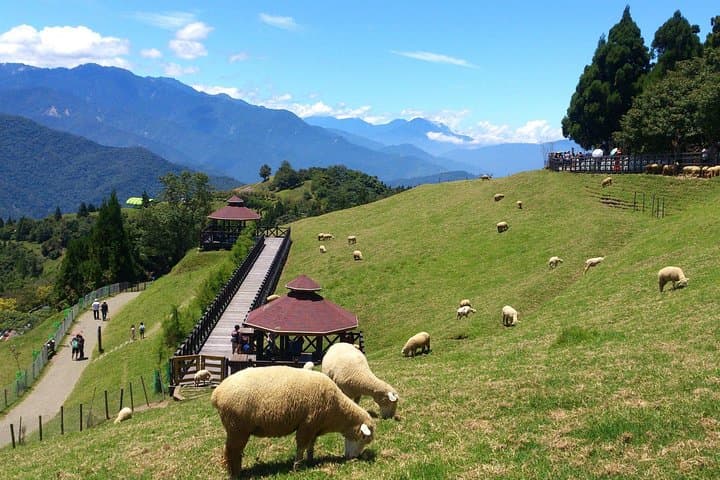Qingjing and Hehuan: Two-Day Alpine Escape from Taipei photo 2